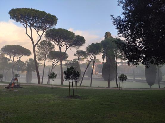 公園の広場の周りに樹木が植えられている。広場には霧が立ち込め、池のようにも見える。空は下の方に雲がかかっているが、高い方は晴れている。