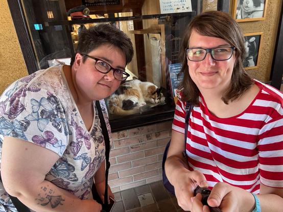 Me and Chad taking a selfie next to Nitama - the second honorary station master of Kishi station. Nitama is a female calico cat, and has white fur with brown and ginger patches. She is sleeping in her glass cabinet at Kishi station.