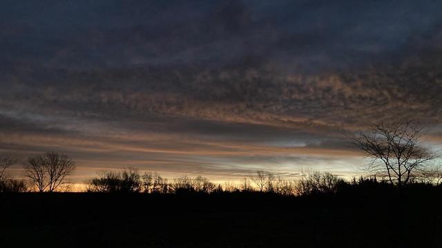 About 40 minutes before sunrise.   Subdued tones of yellow, tan, blue-gray in the eastern sky.   Clear near the horizon, but lots of streaky clouds above.  The trees on the horizon are seen in black silhouette.