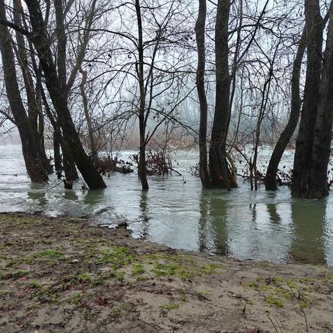 Le long du fleuve Hérault en crue, par un matin automnal brumeux