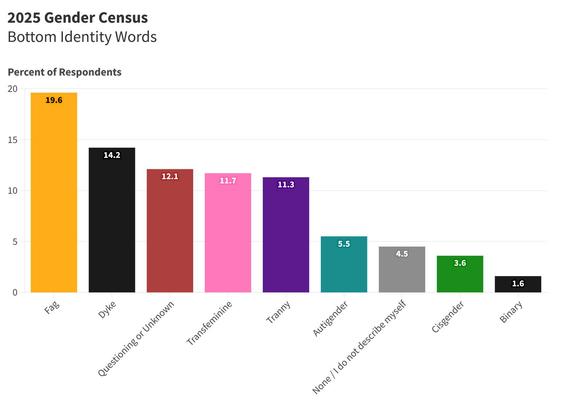 A bar graph showing the least commonly selected identity terms in the 2025 Gender Census.