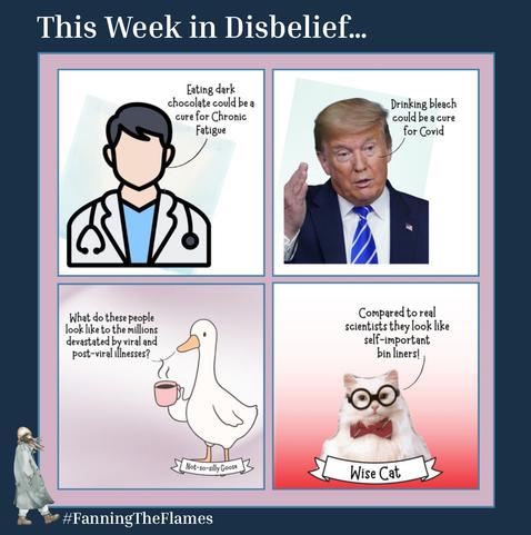 The cartoon series is called ‘This Week in Disbelief’.

There are four boxes

In box one an anonymous doctor is saying “Eating dark chocolate could be a cure for Chronic Fatigue”

In box 2 Trump is saying “Drinking bleach could be a cure for Covid”

In box 3 a goose is saying “What do these people look like to the millions devastated by viral and post-viral illnesses?” This is new character called ‘Not-to-silly Goose’

In box 4 Wise Cat is saying “Compared to real scientists they look like self-important bin liners!”

The cartoon maker is #FanningTheFlames