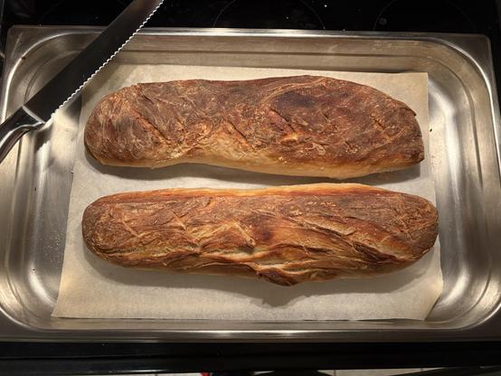 Two long loaves of bread on parchment paper on a baking tray. A bread knife appears in the top left corner for scale.