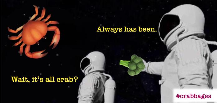 Meme with two astronauts, the left figure gazes at a crab and has their back to the right figure, they ask “It’s all crabs?”. The right figure points a broccoli as if it were a gun at the left figure’s back and answers: “always had been.”. The background is black with a barely discernible star field.