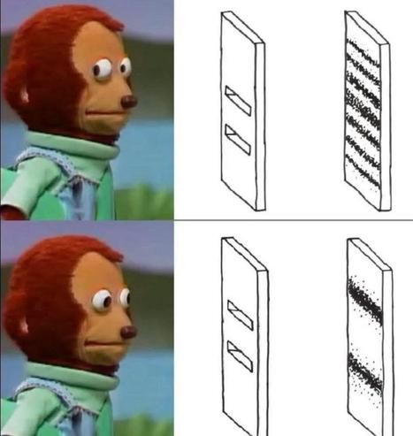 The side eye monkey causes the double slit diffraction band pattern to disappear by looking at the slits.