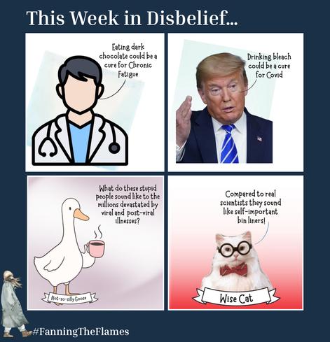 The cartoon series is called - This Week in Disbelief...

This cartoon has 4 boxes

In box 1 an idiot doctor is saying ‘Eating dark chocolate could be a cure for Chronic
Fatigue’

In box 2 the orange egomaniac is saying ‘Drinking bleach could be a cure for Covid’

In box 3 Not-so-silly goose’ is asking “What do these stupid people sound like to the millions devastated by viral and post-viral' illnesses?”

In box 4 Wise Cat is replying “Compared to real scientists they sound like self-important bin liners!”

The cartoon maker is #FanningTheFlames