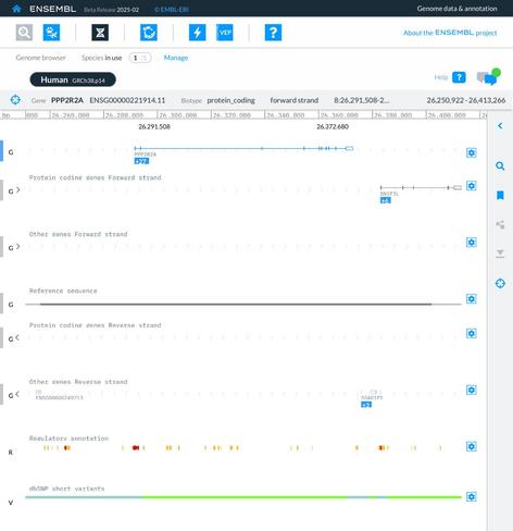 Screenshot of a genome browser in the ensembl website