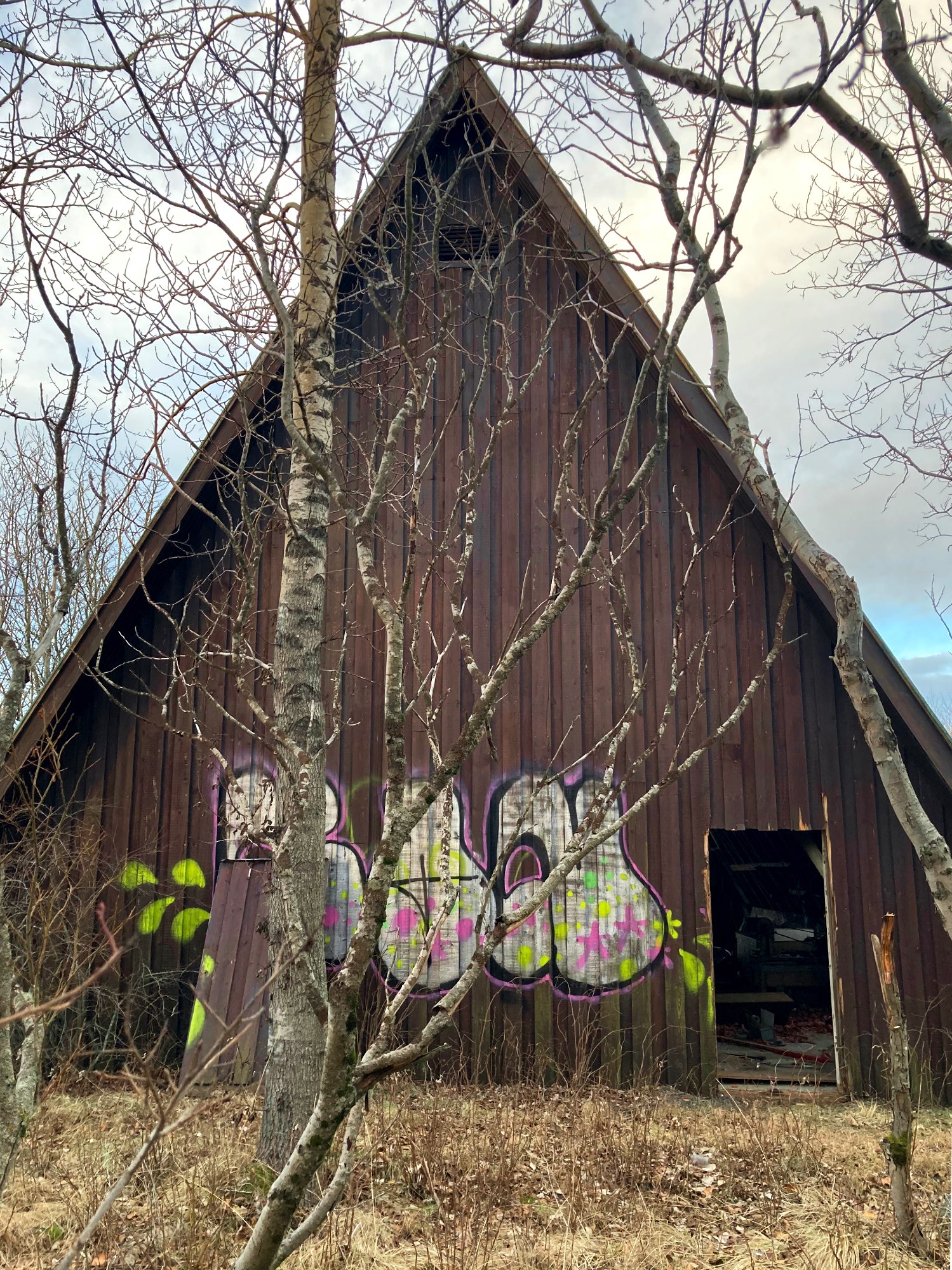 An abandoned A-frame building covered in graffiti and hidden behind trees.
