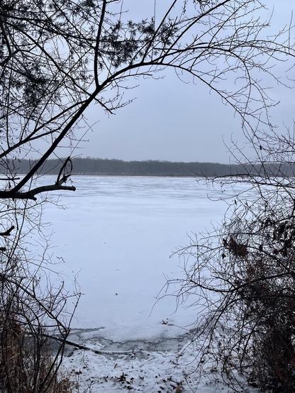 A frozen lake is visible through bare branches and shrubs, with a gray overcast sky in the background. The surface of the ice reflects the muted light, and a distant tree line outlines the far side of the lake. At the top a branch creates the top outline of a circle and on the bottom the shore creates the bottom half of a circle.