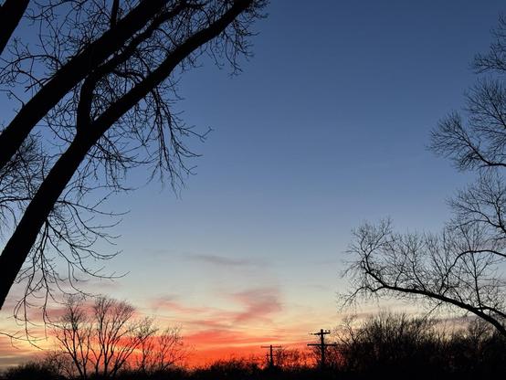 The clouds on the horizon are a rich, deep pink . Tree branches are silhouetted against a darkening blue sky.