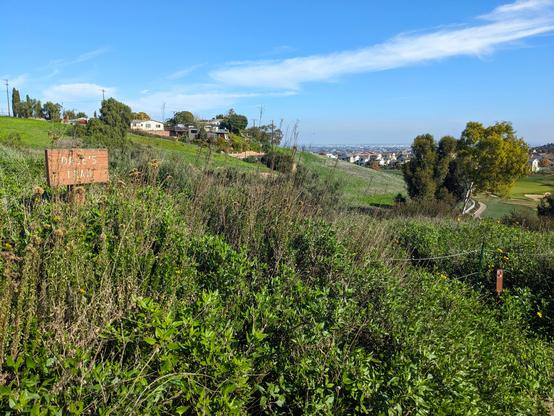 Lots of bright green plants on a hillside, on a sunny day. A wooden sign, not quite blocked, proclaims Dale's Trail. Nearby, a smaller sign shows a picture of a footprint and the red-circle-with-a-slash-through-it NO icon.