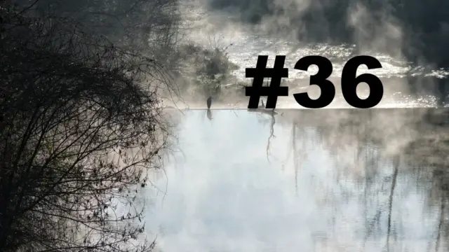 Un oiseau posé sur le bord d'une petite cascade sur un cours d'eau. Un arbre sur la gauche. Au-dessus de l'eau, des brumes de vapeurs. L'eau au premier plan semble sans mouvement, tandis qu'après la cascade le cours d'eau se transforme en torrent. Sur la droite le numéro de la chronique précédé d'un dièse.