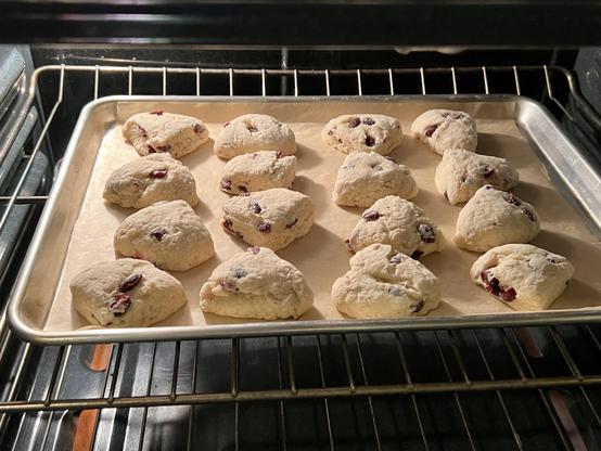 16 mini triangle scones on the parchment paper lined cookie sheet in the hot oven. You can see the orange glow in the bottom left corner.