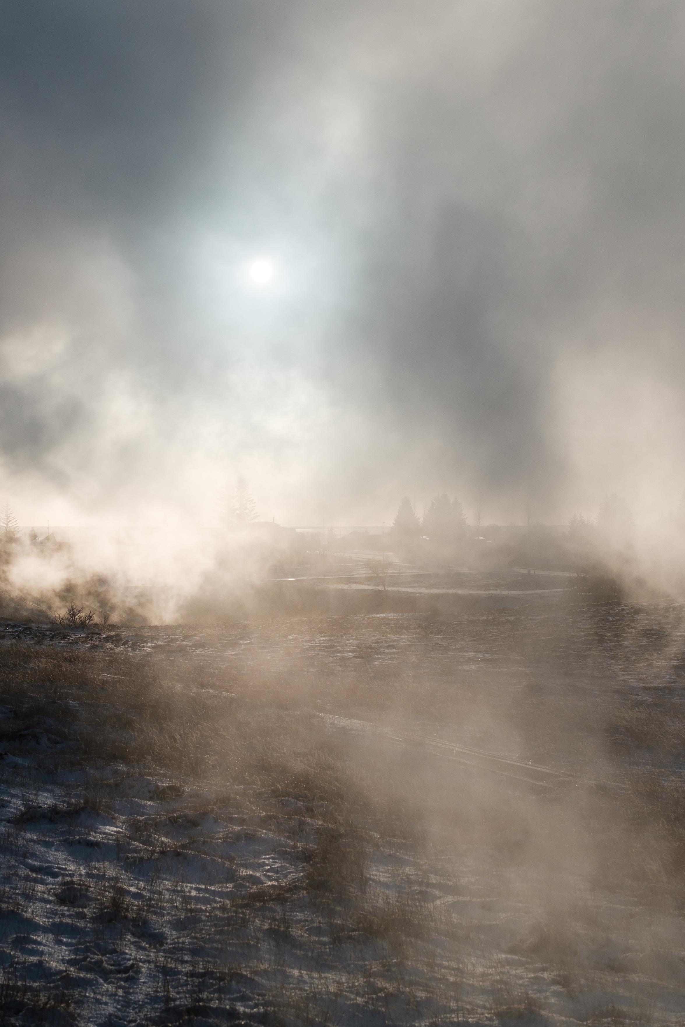 Steam settles over icy grass, obscuring the sun