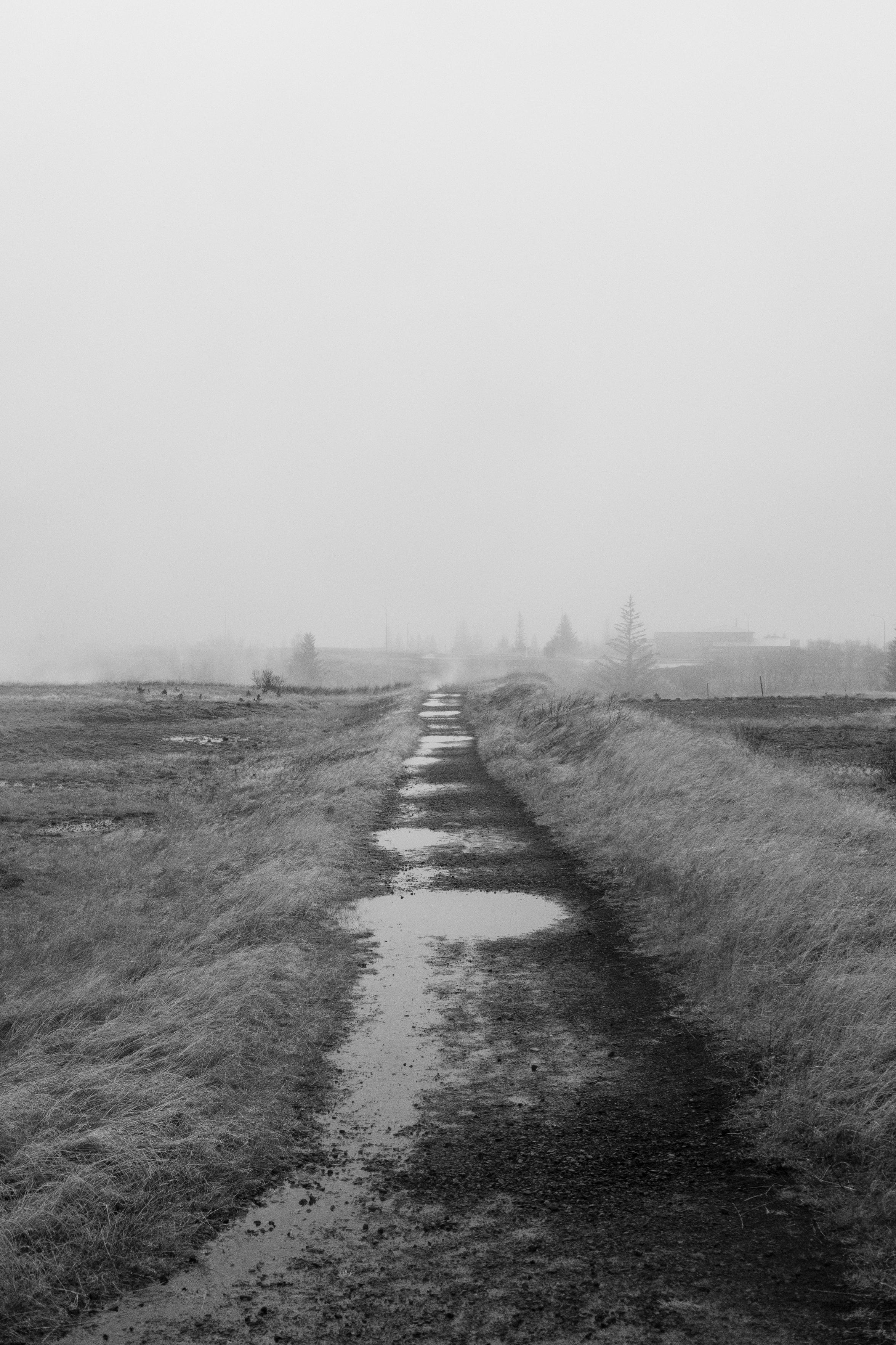 The path leads away into the fog. Puddles form circles on the way.
