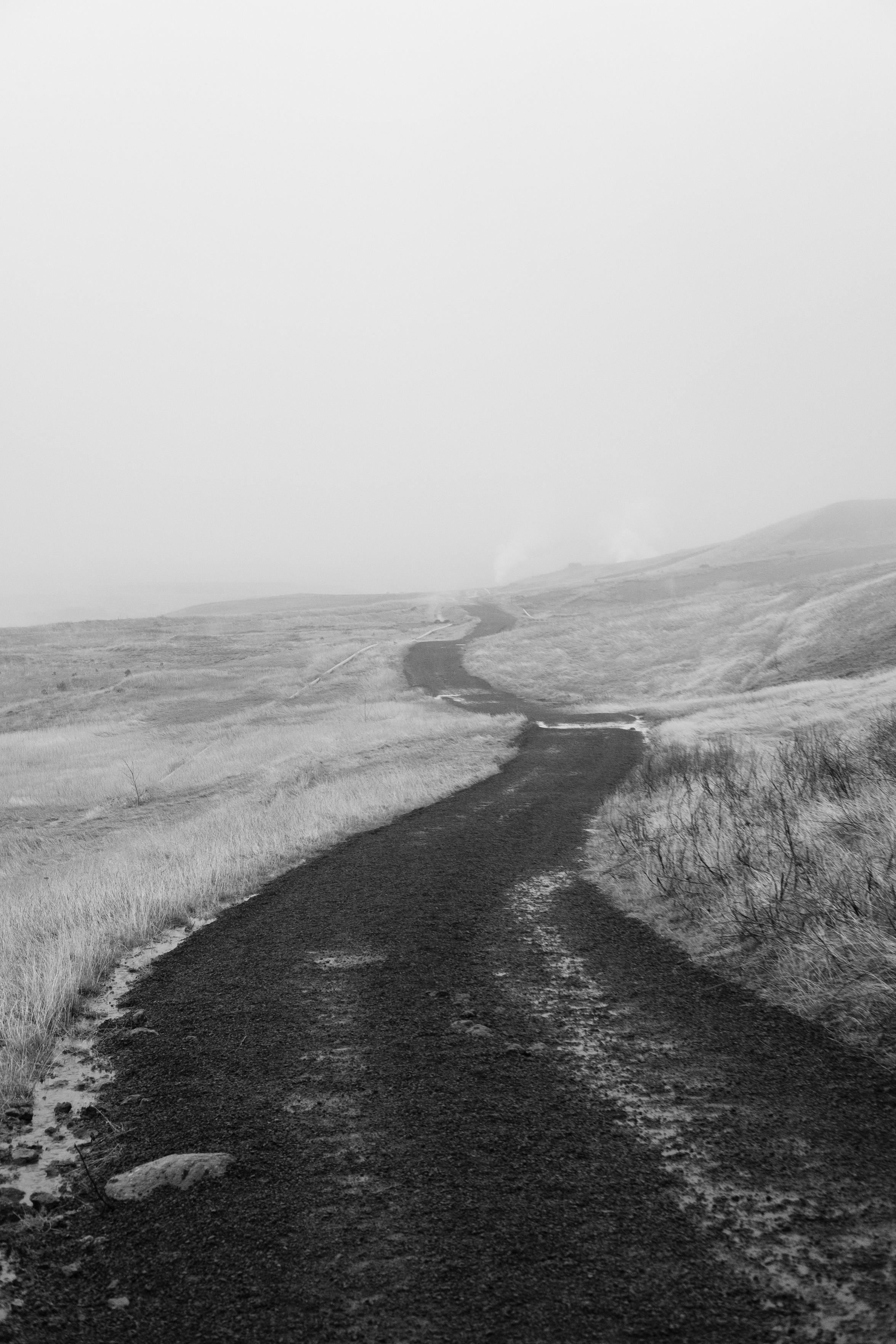 The path winds in black and white