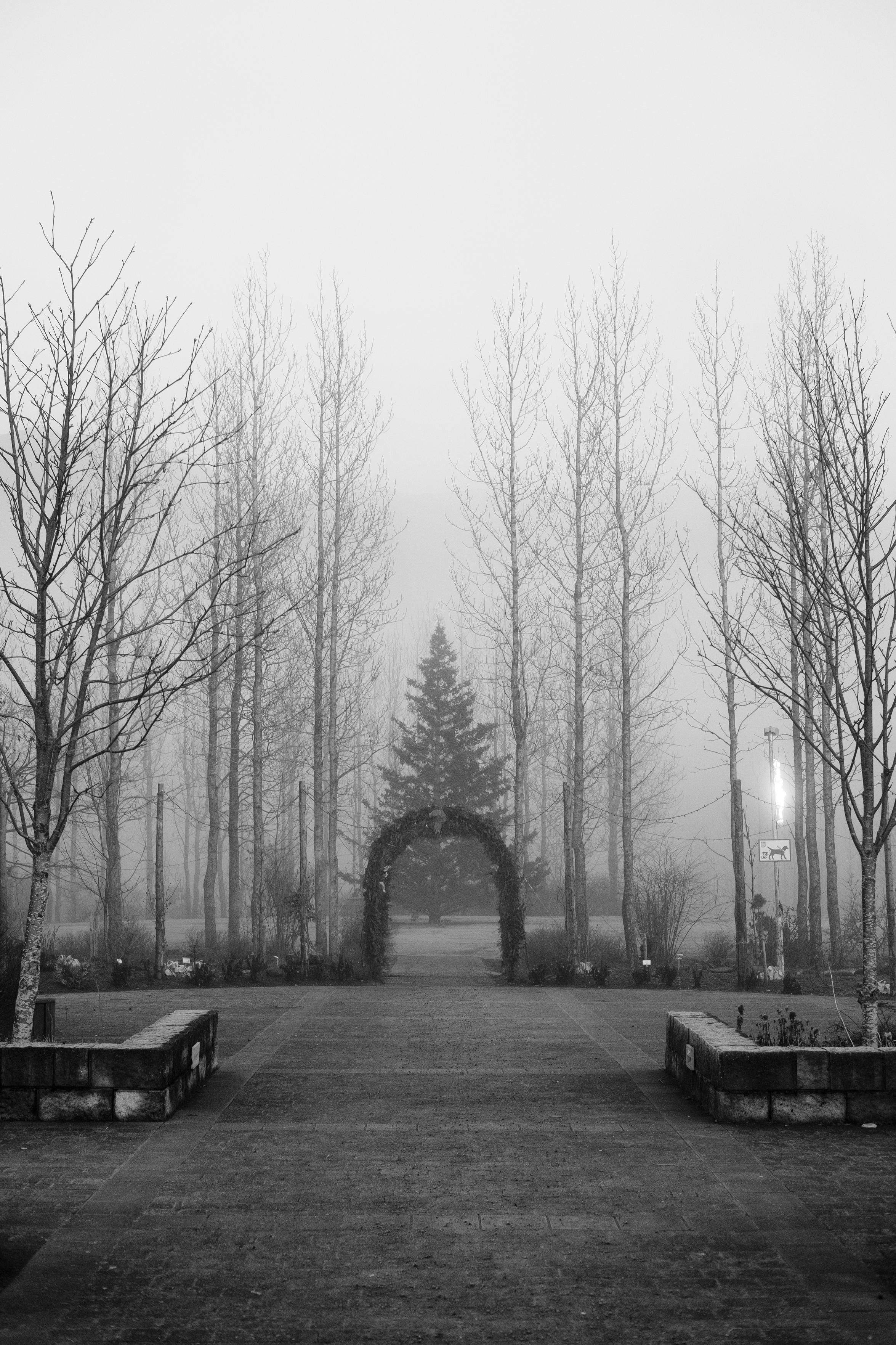 The entrance to the small park in Hveragerði, in foggy black and white
