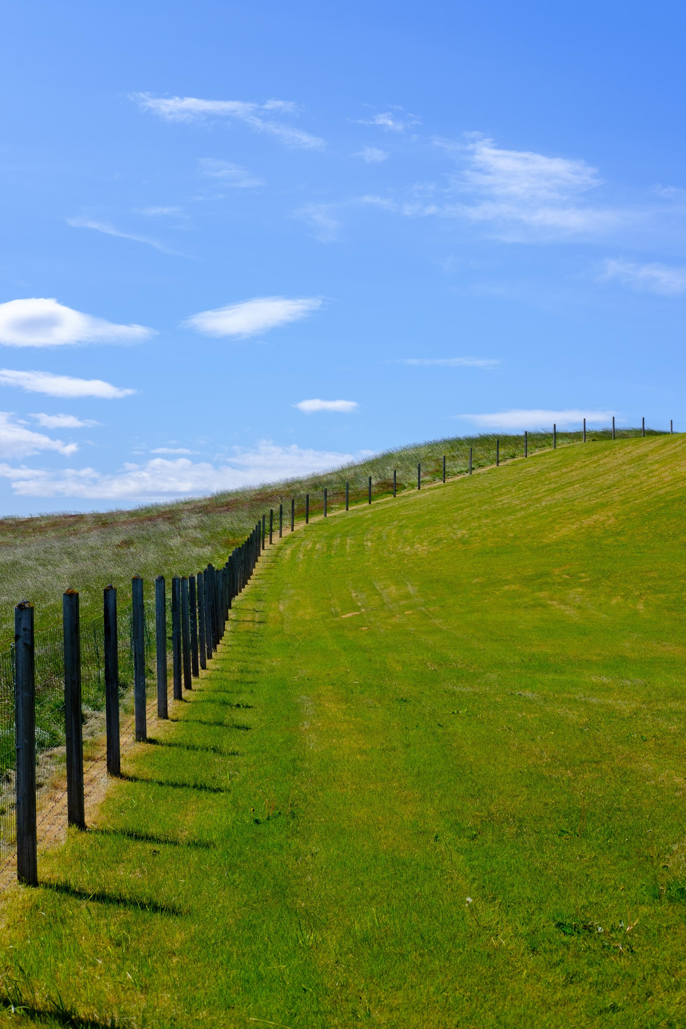 The fence surrounding a cemetery in Iceland curves in a green landscape