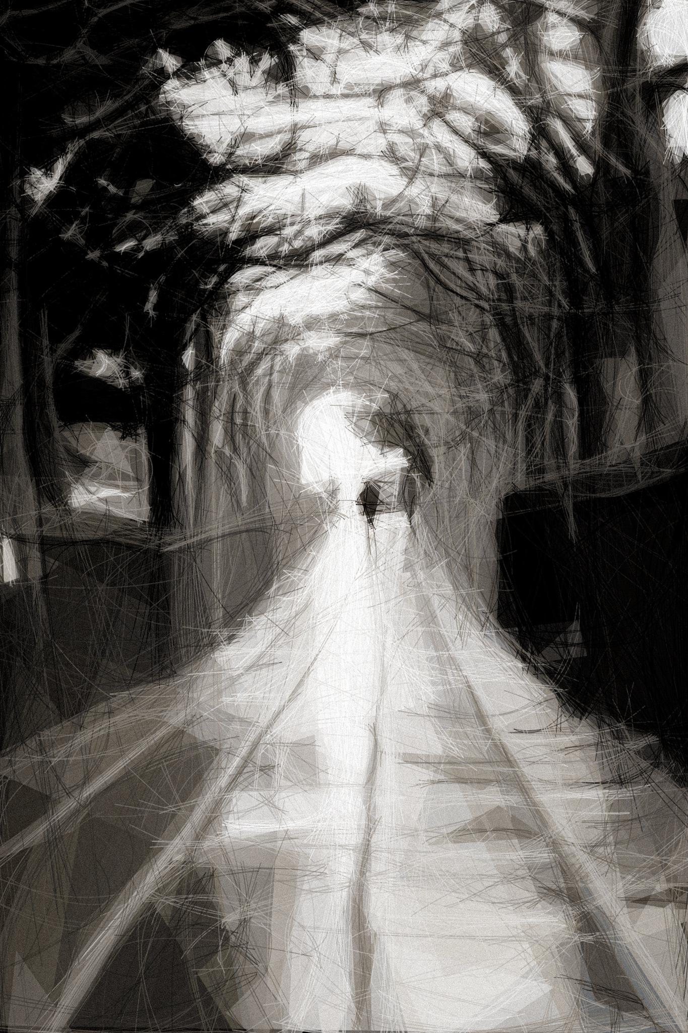 A bunch of lines that align to create a picture of somebody walking through a tunnel of thorns