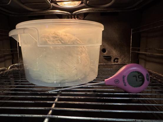 And in the proof box at 75°F for an hour (or realistically, until it pops my container)