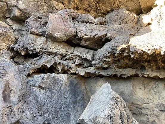 A close-up view of some of the hardened lava and the lava tubes. Excuse me I mean the boring lava tubes.