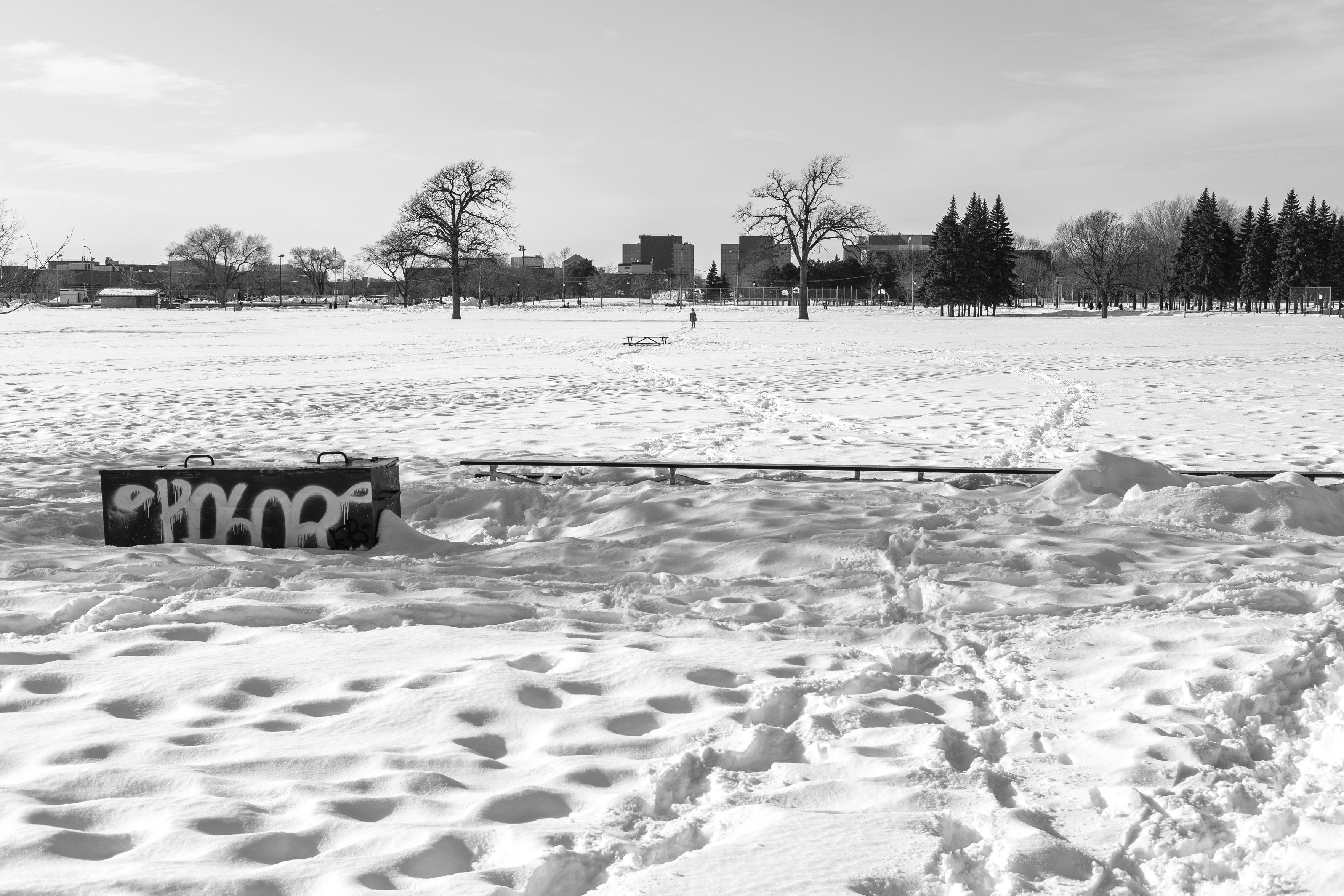 The park is covered with snow. In the distance a person is walking in between two trees.