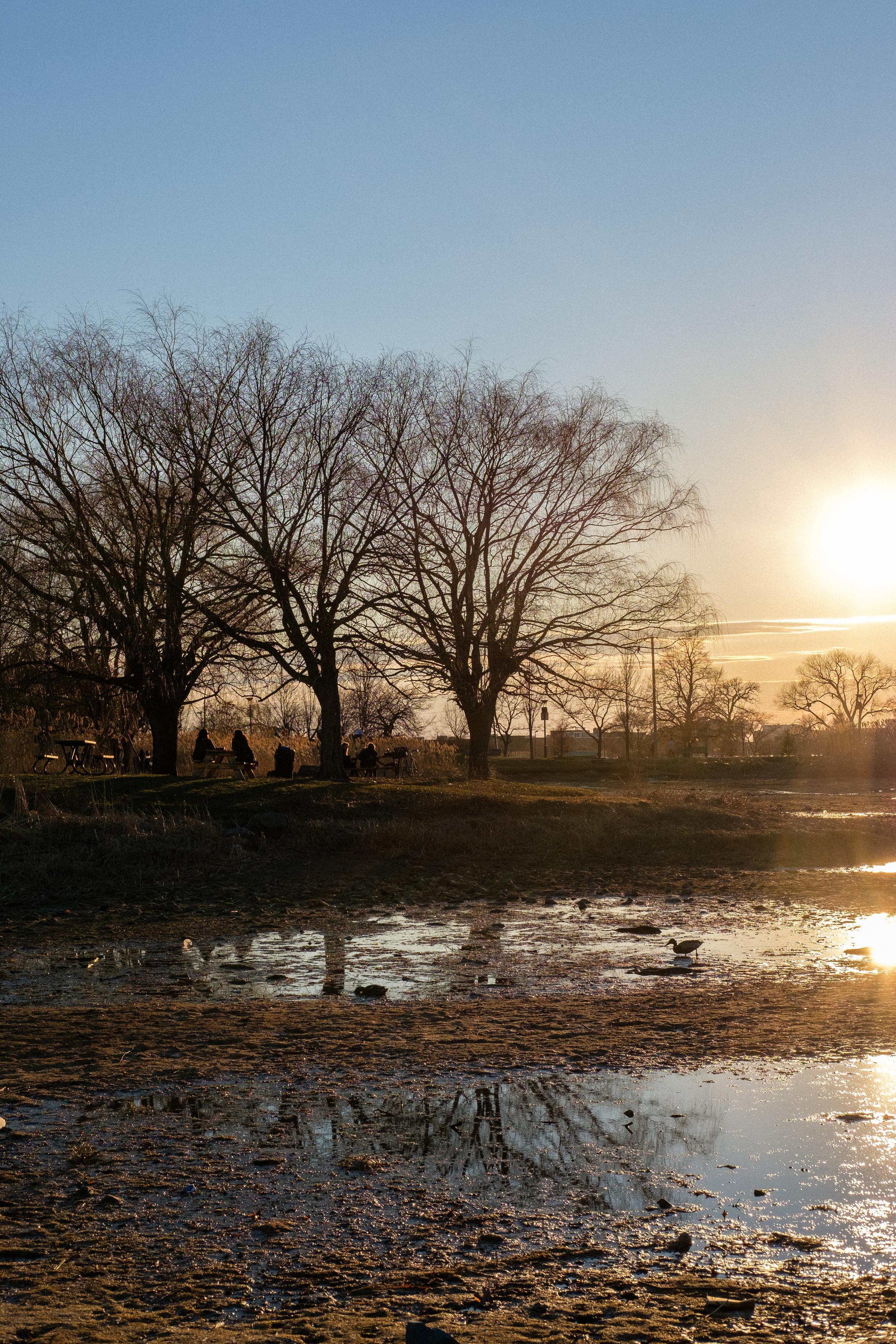 It’s spring and a duck walks along the bed of a dried up pond. This is the photo that lead long-time followers on Twitter to ‘intervene’ and say that I was such a horrible photographer that it compromised their experience of my writing