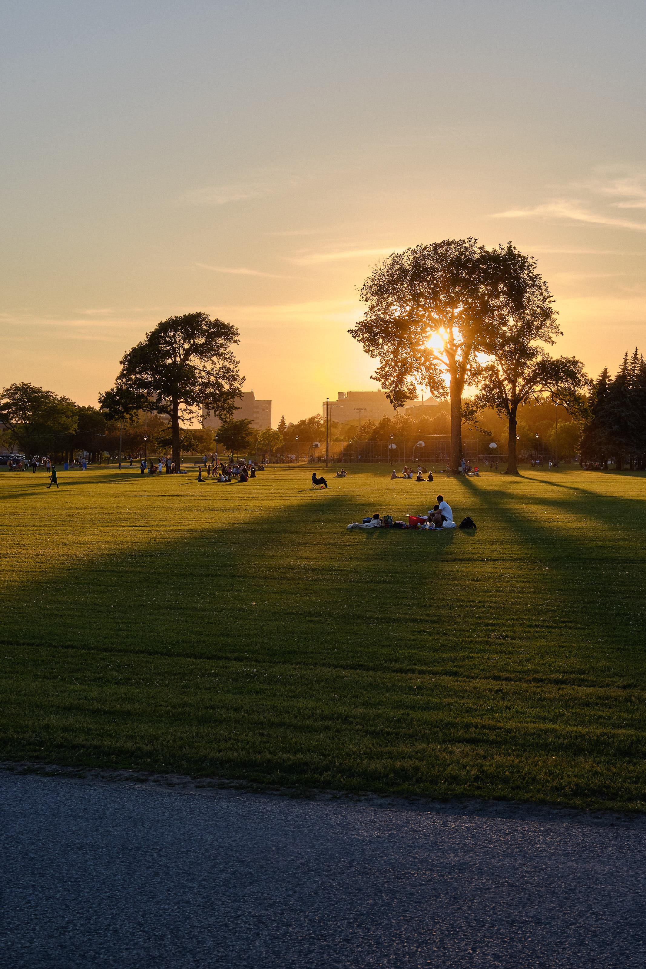 Spring. The sun is setting behind people in the park