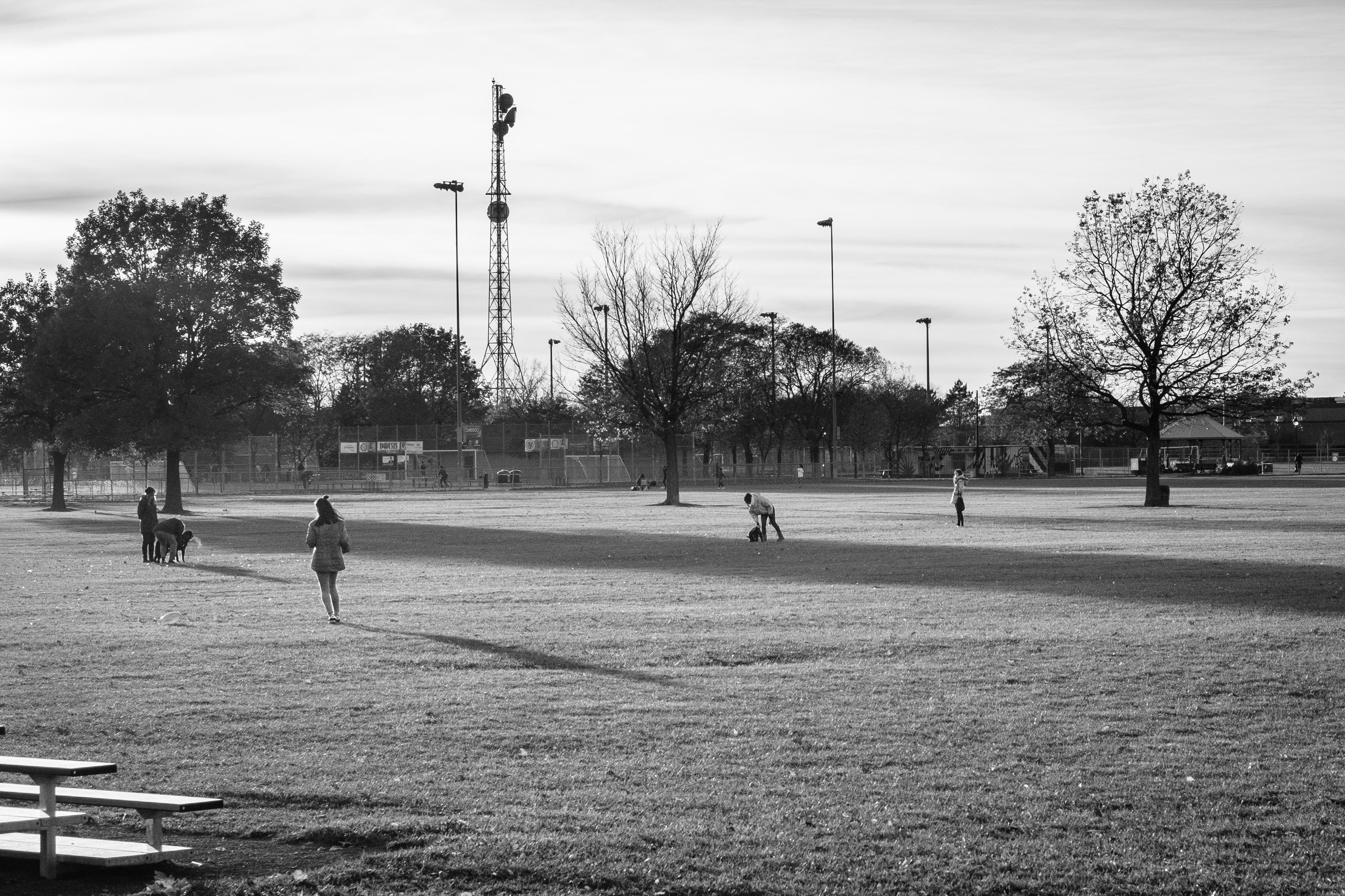 Autumn. An assortment of people are living life in the park