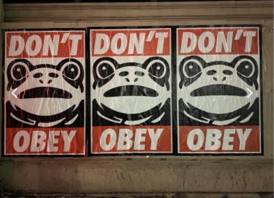 poster in Portland: 3 frogs, each one says : Dont Obey 

This is a protest poster against Trump and ICE