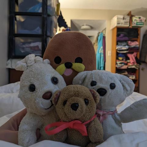 Plushies in a 4 star arrangement

Gondola at top back middle
Bunny left side
Teddy right side
Beary in bottom middle