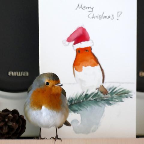 Robin posing in front of a hand drawn Christmas Card with a robin wearing Santa‘s cap.