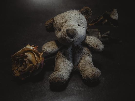 Ein kleiner , sitzender Teddy. Hinter ihm liegt eine alte, vertrocknete Rose.