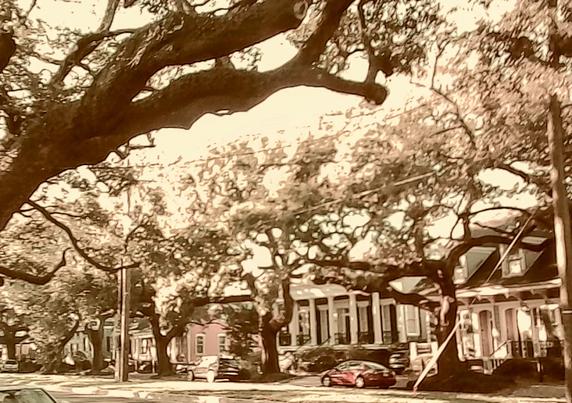 Louisiana street in New Orleans.