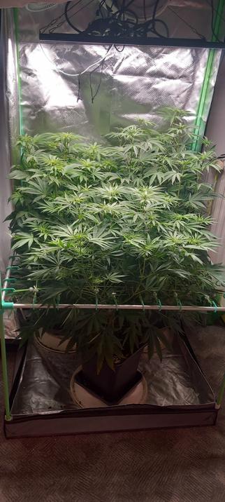 Das gleiche Bild aus einem anderem Winkel