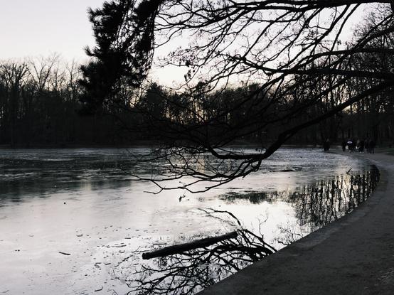 Shot with No Fusion by "NC".