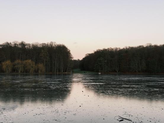 Shot with No Fusion by "NC".