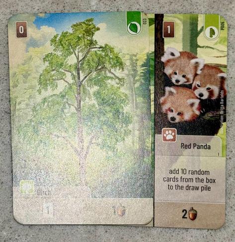 Two cards from a game. At left, a birch tree. At right, tucked under, the Red Panda card. Three cute drawn red pandas nestle in a tree. The card’s action: add 10 random cards from the box to the draw pile.