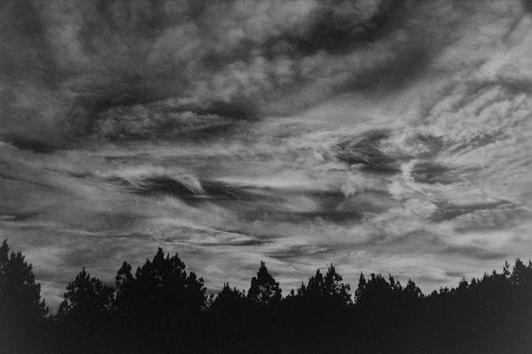 Nikon F100 | Kodak XX 250 | Shot at 1600 | Developed in XTOL
A cloudy sky over pine trees