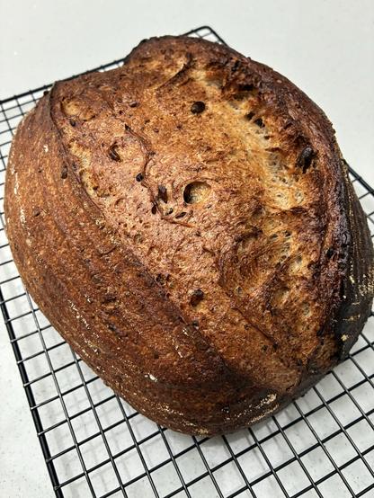 Sourdough showing gluten strands and seeds.