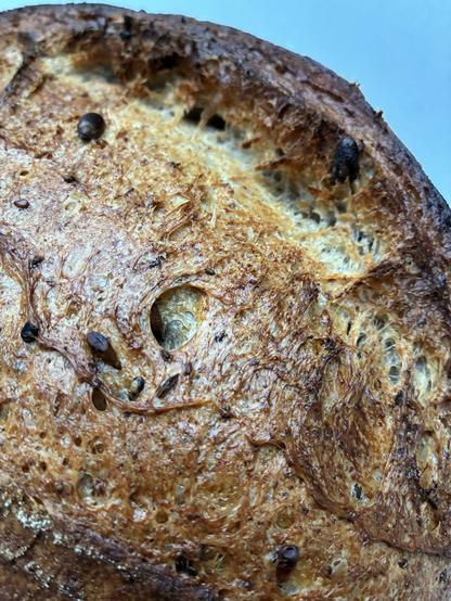 Sourdough showing gluten strands and seeds.