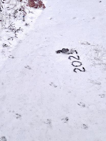 The same design of sunflower seeds except now a Gray Squirrel has shown up and is beginning to eat the entirety of the #5. Picture taken from the second floor of a house.
