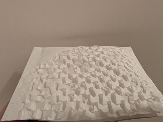 een envelopje vergelijkbaar met die van bubbeltjesplastic, maar volledig van papier