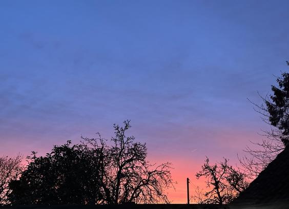 View across a rooftop at sunset with trees silhouetted against the sky. The lower part of the sky is a deep, streaky orange hue which briefly changes to pink, then purple and finally blue in the entire top half of the picture.