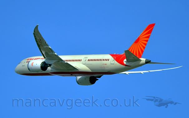 Side view of a twin engined jet airliner flying from right to left and slightly away from the camera at a low altitude, with the undercarriage already retracted, flaps extended from the rear of the wings, and the nose raised, suggesting it has just taken off.
The plane is mostly white, with red titles in a Hindi script, translating to "Air India", on the upper forward fuselage, and the red registration "VT-ANQ" on the lower rear, just above red "DreamLiner" text.
The passenger cabin windows each have individual, red crenelated arches painted around them.
The tail and part of the rear fuselage are red, with the petals of an orange flower extended outwards.
Vivid blue sky fills the rest of the frame.