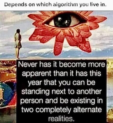 Depends on which algorithm you live in.

Never has it become more apparent than it has this year that you can be standing next to another person and be existing in two completely alternate realities.