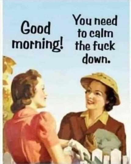 [A painting or drawing of 2 women, as if lifted from the pages of "Better Homes & Gardens," smiling gratuitously & conferring across a picket fence]

"Good morning!"

"You need to calm the fuck down."