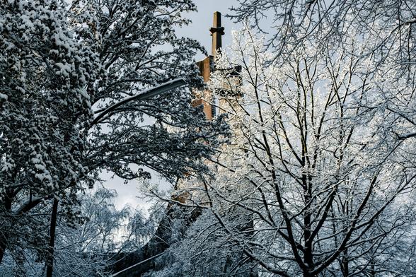 Hinter verschneiten Bäumen guckt der Kirchturm der St.Erich Kirche hervor