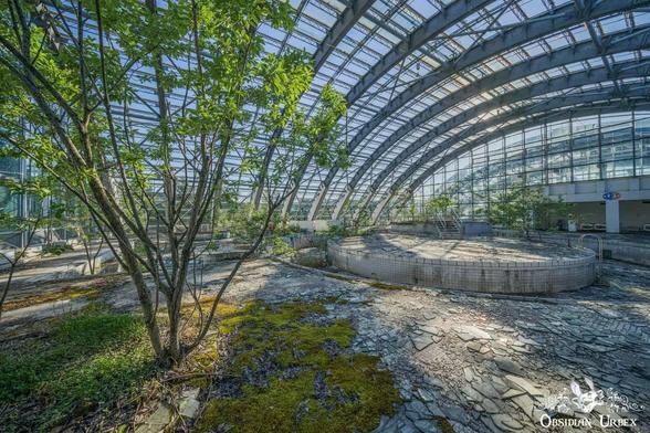 Sunlight streams into an abandoned glass-domed greenhouse with overgrown plants, cracked tiles, and empty, circular platforms.