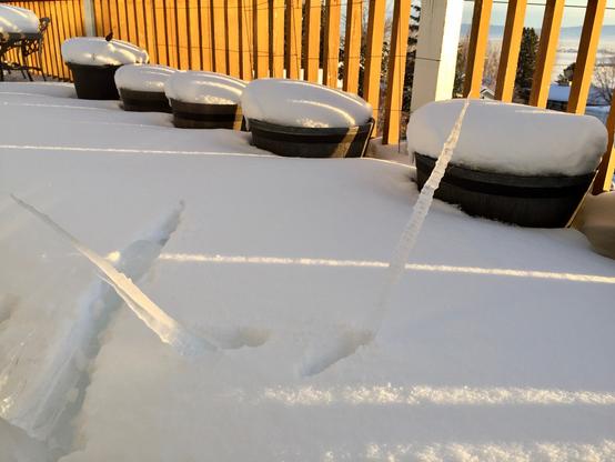 Three icicles fell off the roof and landed in deep snow on the balcony with their points facing upwards. There are large pots along the balcony railing that are also deep in the snow and have snow "muffin tops." The early morning sun is shining on the wood railing and the icicles, casting a golden glow. Gardnerville, Nevada